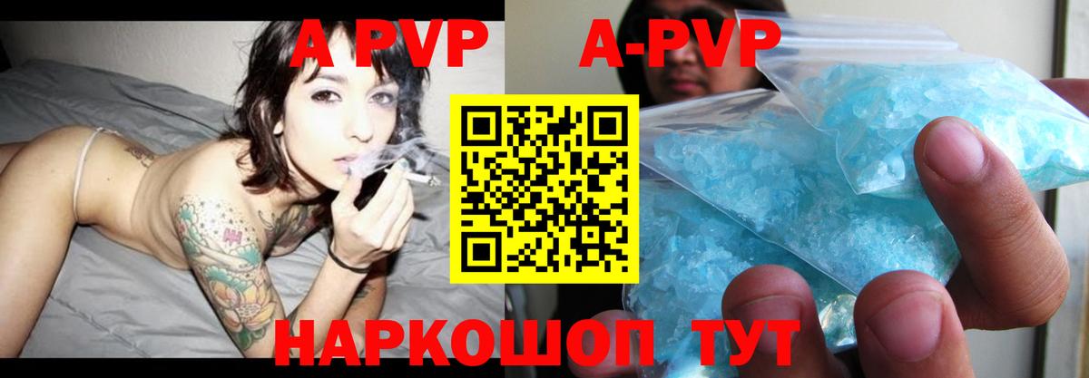 A PVP СК Москва