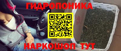 гашиш Тара
