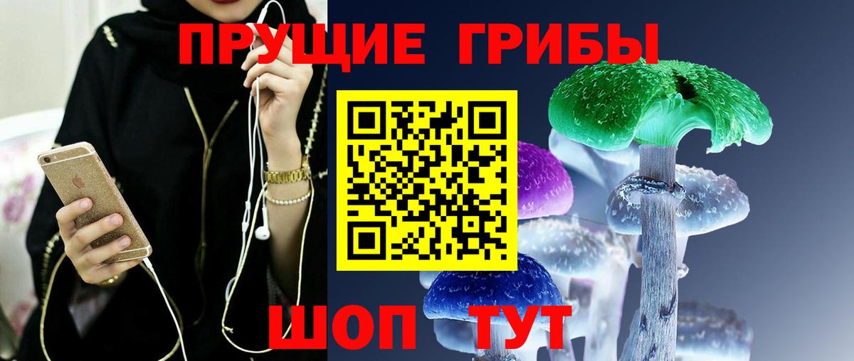 Псилоцибиновые грибы GOLDEN TEACHER Москва